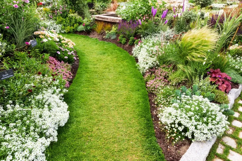 chemin dans un jardin fleuri