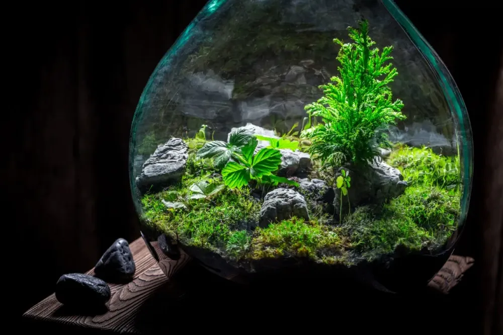 Décoration aquarium à Marseille