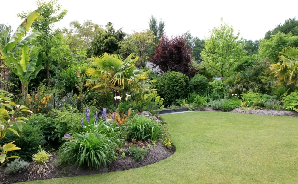 jardin entretenu avec de belles plantes