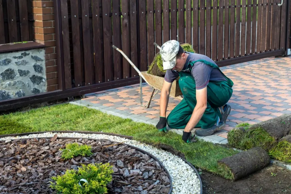creation de jardin et pose de gazon