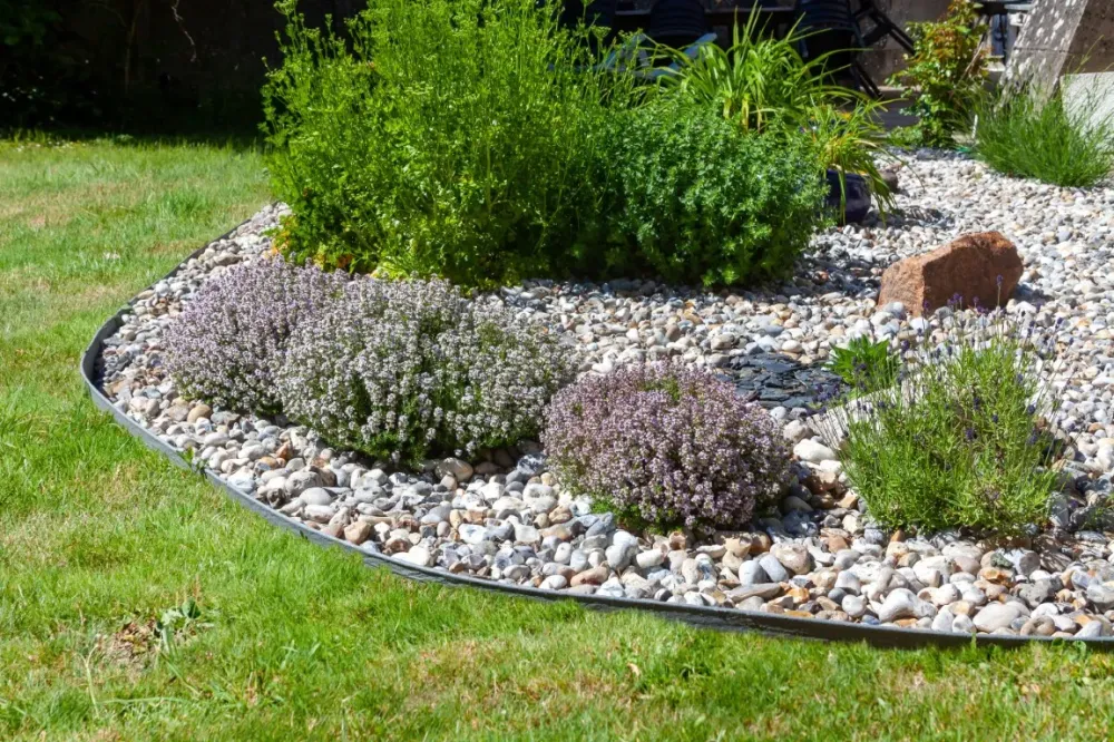 jardin entretenu