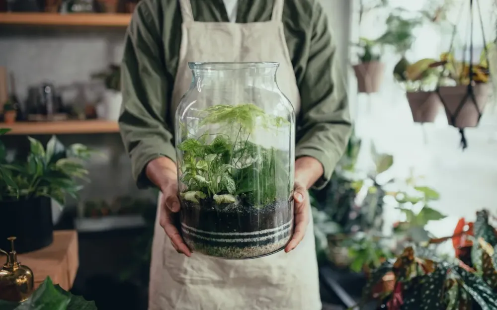 Décoration terrarium à Marseille